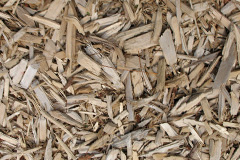 biomass boilers Ponjeravah